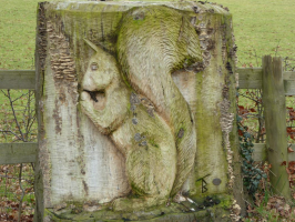 S12_2_SquirrelCarving