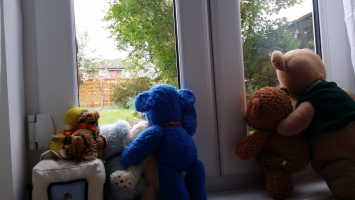 S13_1_The Bears Hate The Rain