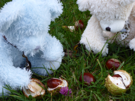 S70_03_BooAndCrackersFindingConkers