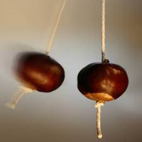 S70_06_HittingConkers