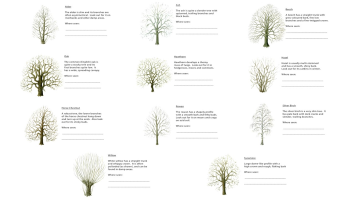 S129_05_TreeShapeChecklist