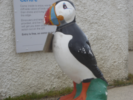 S174_05_PuffinSighting